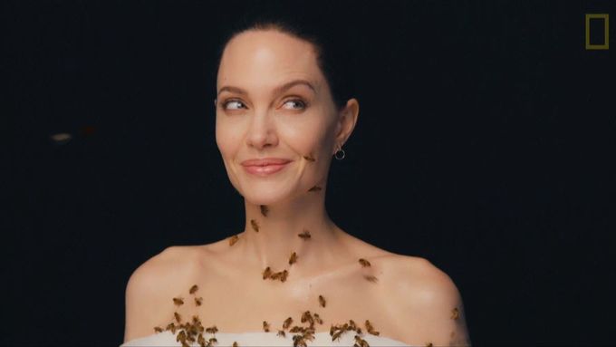 "Bylo příjemné být ve spojení s těmi nádhernými tvory," prozradila Angelina Jolie po natáčení s rojem včel.