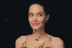 Angelině Jolie vlezla pod sukni včela. Pro dobrou věc to vydržela