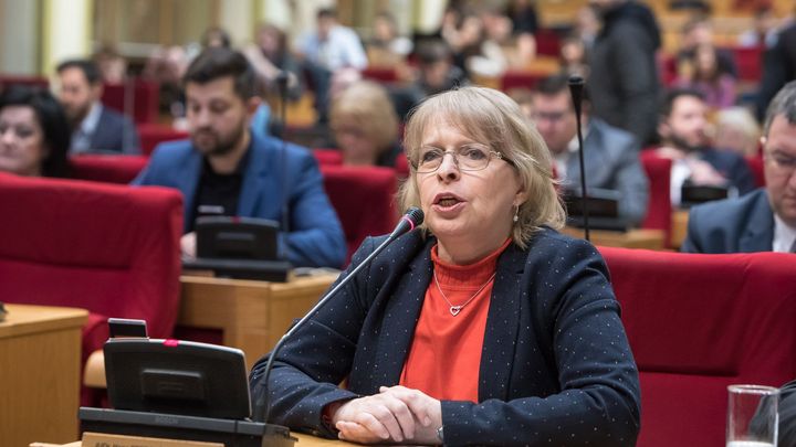 Nechtěli pro Svobodu můj hlas, nerozumím tomu, říká Marvanová. Spolu už s ní nepočítá; Zdroj foto: Jakub Plíhal