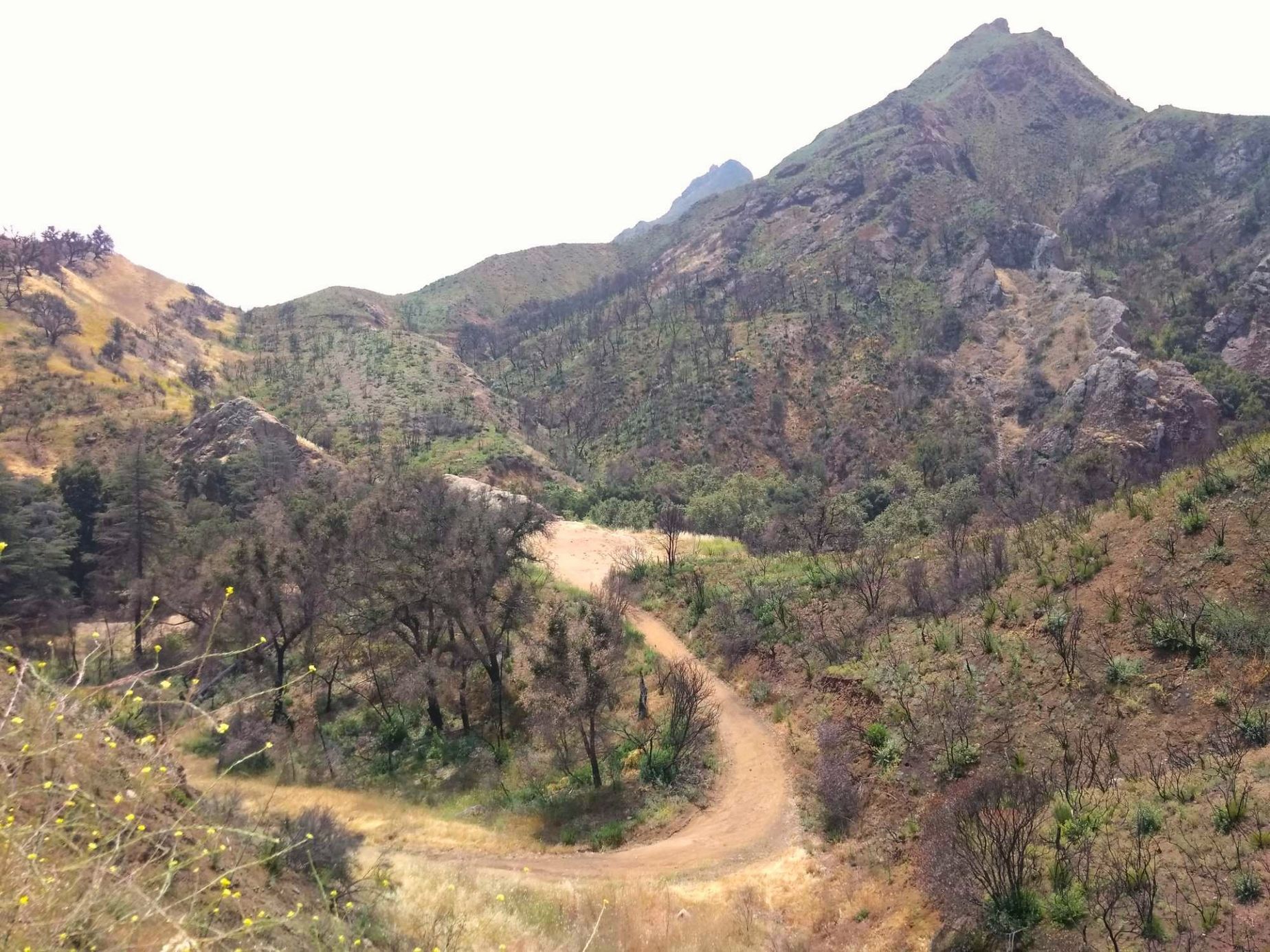 Galerie natáčecí místo MASH