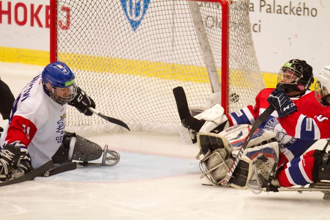 Česko - Norsko, čtvrtfinále MS v parahokeji 2019 (Gól Miroslava Novotného)