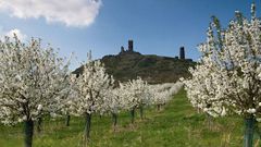 Jaro - stromy - květy - hrad - zřícenina