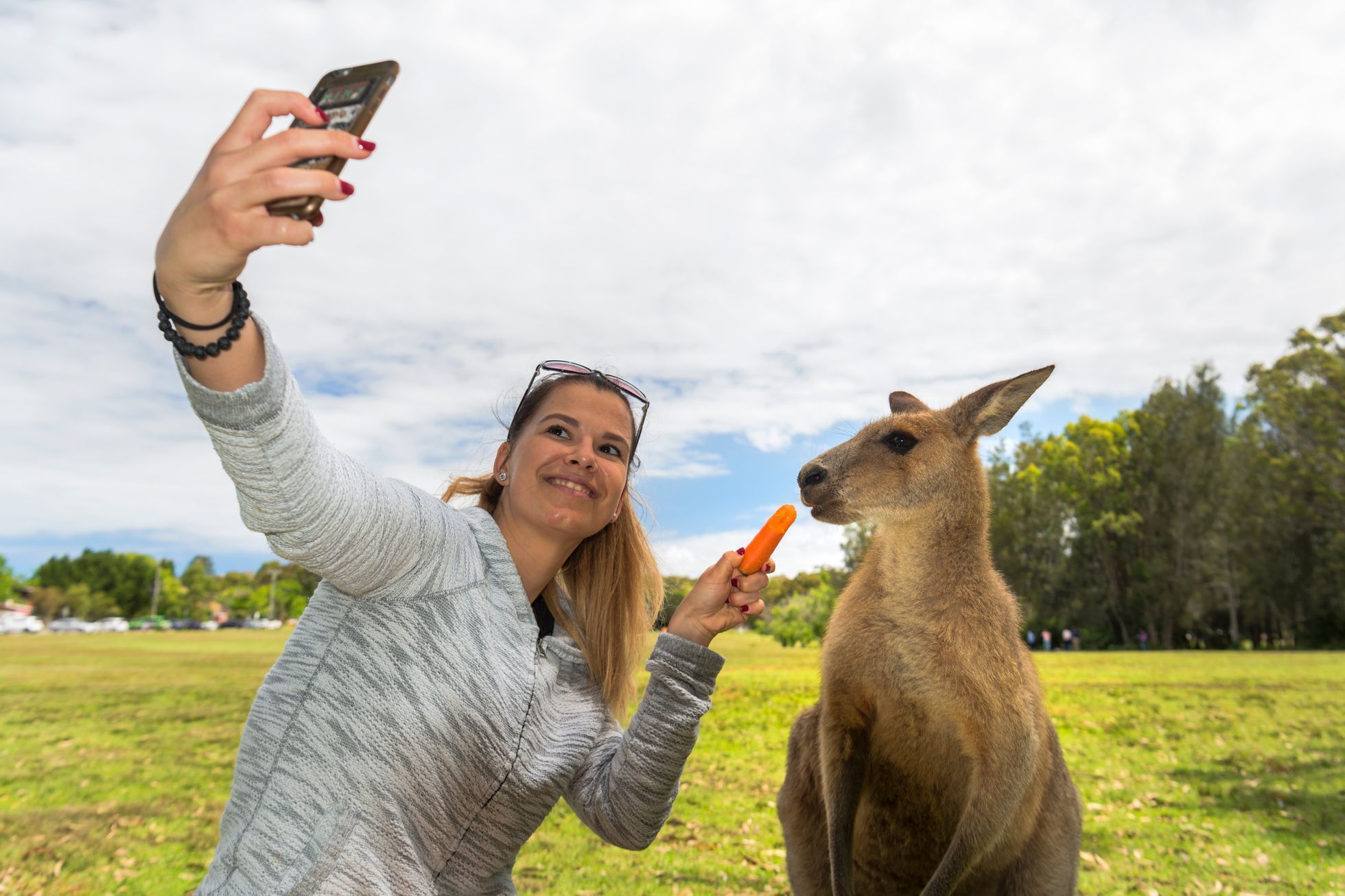 Selfie, zvířata, ilustrační foto