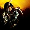 Dark Sector