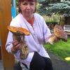 NEPOUŽÍVAT !!! Fotosoutěž houby 2017