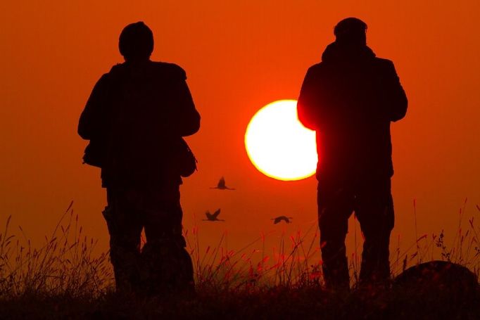 "Fotografie byla pořízena 29. 10. 2011 při východu slunce v NP Hortobágy, Maďarsko, kdy se rozlétávalo hejno jeřábů popelavých," napsal pan Čunderlík.