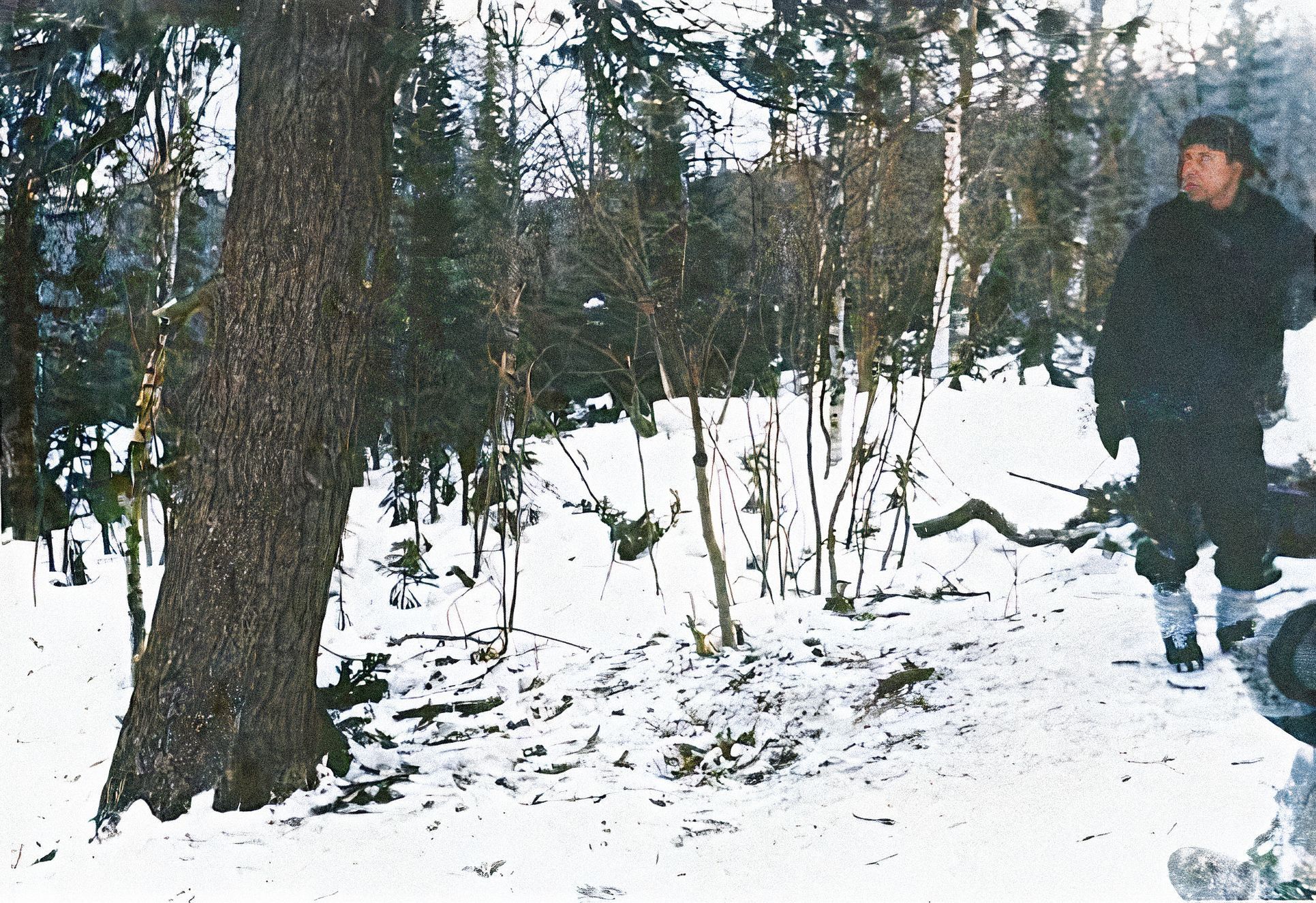 Ďatlov, kolorované fotografie, Záhada zániku Ďatlovovy výpravy, Dyatlov Foundation