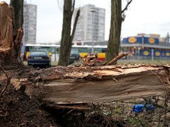 Tady silný vítr nejprve porazil několik stromů na parkovišti, vytrhal stropní podhledy u prodejny Albert (naproti), odvál pár kontejnerů a ještě stačil odmrštit střechu bytového domu.