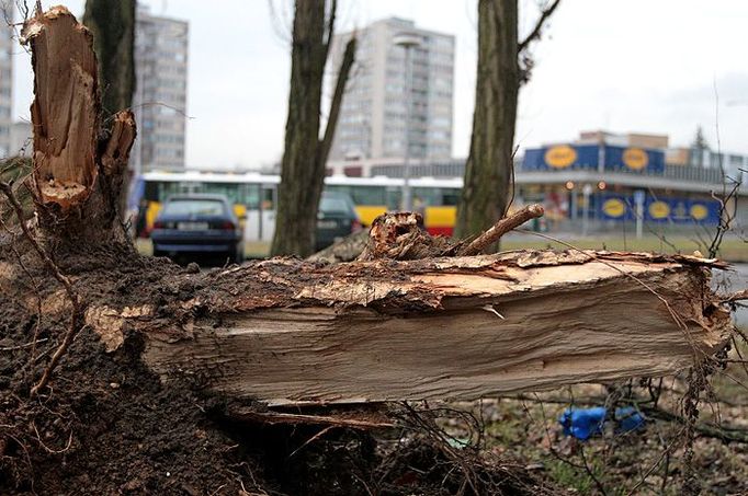 Tady silný vítr nejprve porazil několik stromů na parkovišti, vytrhal stropní podhledy u prodejny Albert (naproti), odvál pár kontejnerů a ještě stačil odmrštit střechu bytového domu.