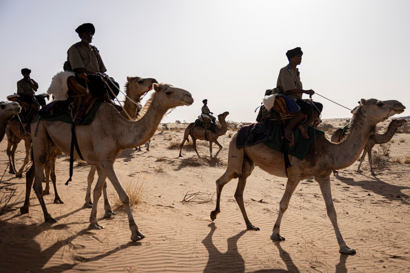 Mauritánie velbloudí hlídky