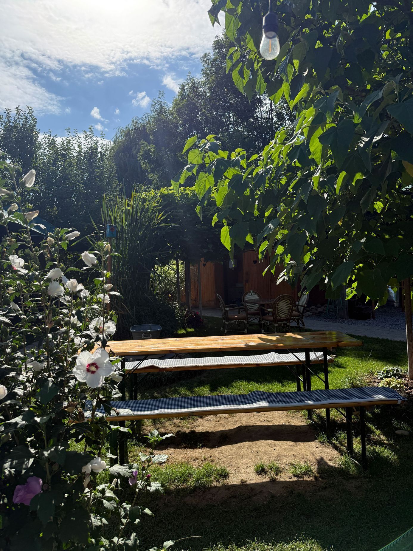 The Garden, bistro, jídlo, Srbsko, příroda, zahrada