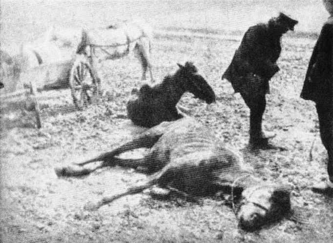 Stalinův Holodomor na Ukrajině v 30 letech 20. století stál životy 10 miliónů lidí.