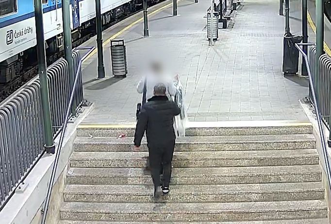 Brněnští policisté pátrají po pachateli, který v podchodě k nástupišti na hlavním nádraží okradl mladou ženu. Využil situace, kdy mířila na vlak a měla plné ruce.