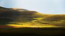 Rozkvetlá letní pole v okolí italské vesnice Castelluccio di Norcia