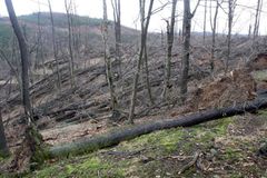 Vítr v noci lámal stromy. Ráno řidiče potrápila námraza
