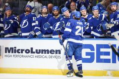 V generálce na NHL skórovali Pastrňák i Lauko, Krejčí připravil dva góly