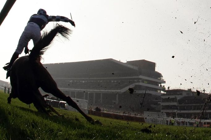 Wishfull Thinking falls, unseating jockey Richard Johnson during the Queen Mother Champion Steeple Chase at the Cheltenham Festival horse racing meet in Gloucestershire, western England March 14, 2012.