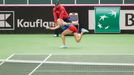 Halepová vs. Siniaková, Fed Cup, Česko - Rumunsko