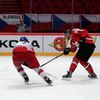 Hokej, MS 2013, Česko - Švýcarsko: Ryan Gardner pálí
