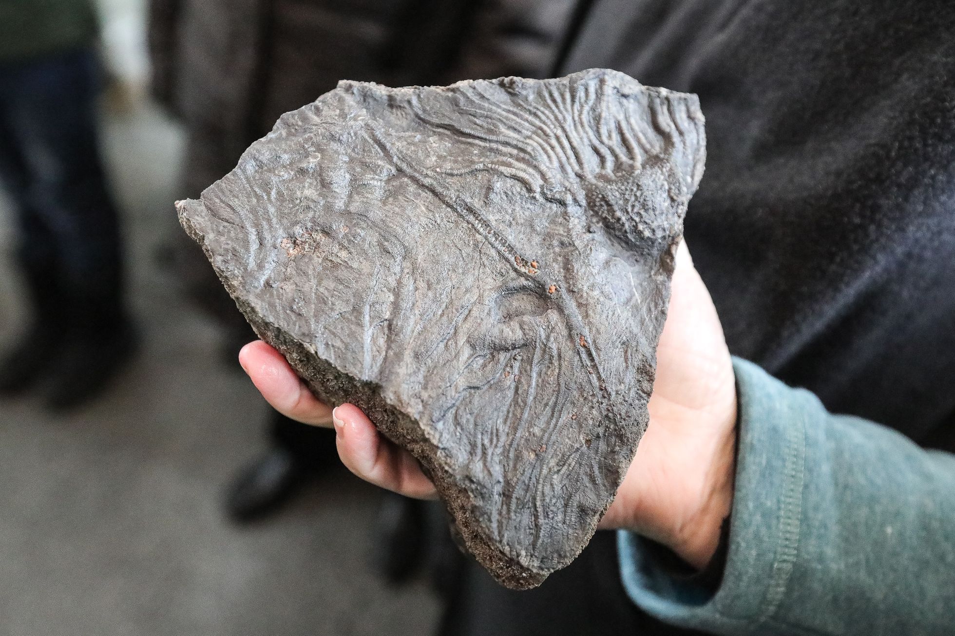 Geologická vycházka Praha, Štěpán Rak