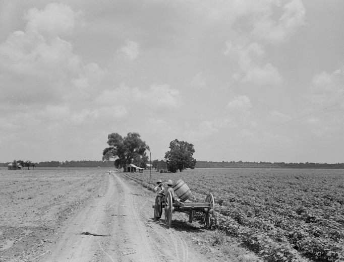 Plantáž v Texasu, 1938.