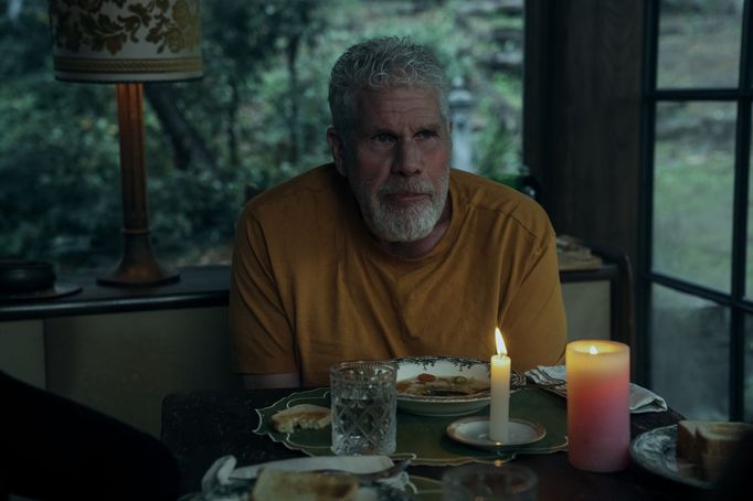 Ron Perlman jako Toby Hellinger.