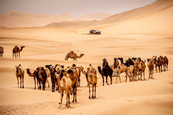 Z portfolia Mariana Chytky