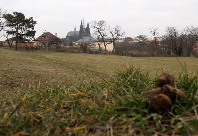 Ideální místo. Rozlehlá louka, žádná dopravní omezení. Hned nad Jelením příkopem. Stačí uklidit psí exkrementy a show může začít.