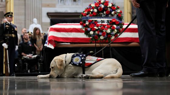 V roce 2018 zemřel také bývalý americký prezident George Bush starší.