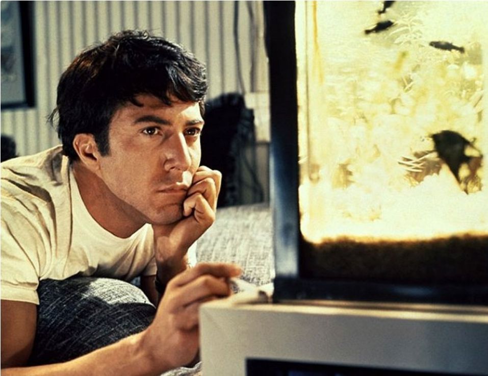 Dustin Hoffman, Absolvent