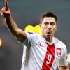 Skotsko-Polsko: Robert Lewandowski slaví gól