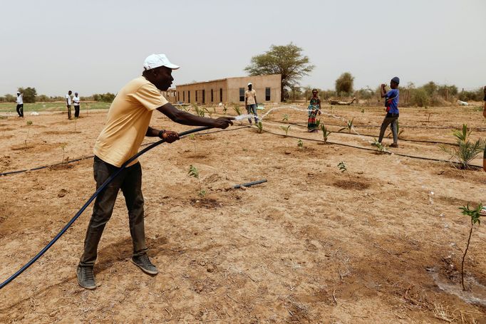 Kruhové zahrady Tolou Keur v Senegalu.