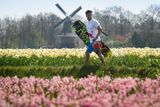 Wakeboardista Duncan Zuur prochází rozkvetlou krajinou poblíž nizozemského Noordwijkerhoutu.