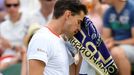 Wimbledon 2019, den druhý: Dominic Thiem