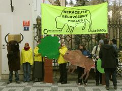 Greenpeace protestují proti kácení Bělověžského pralesa