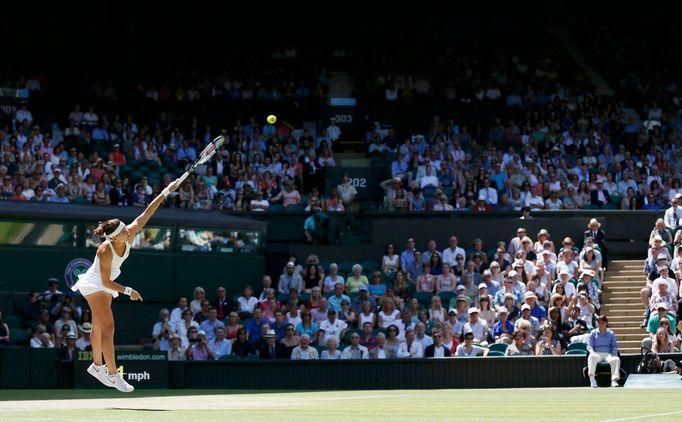 Wimbledon 2014, semifinále: Lucie Šafářová