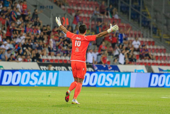 FC Viktoria Plzeň - The New Saints, 3. předkolo Evropské konferenční ligy, Aleš Hruška