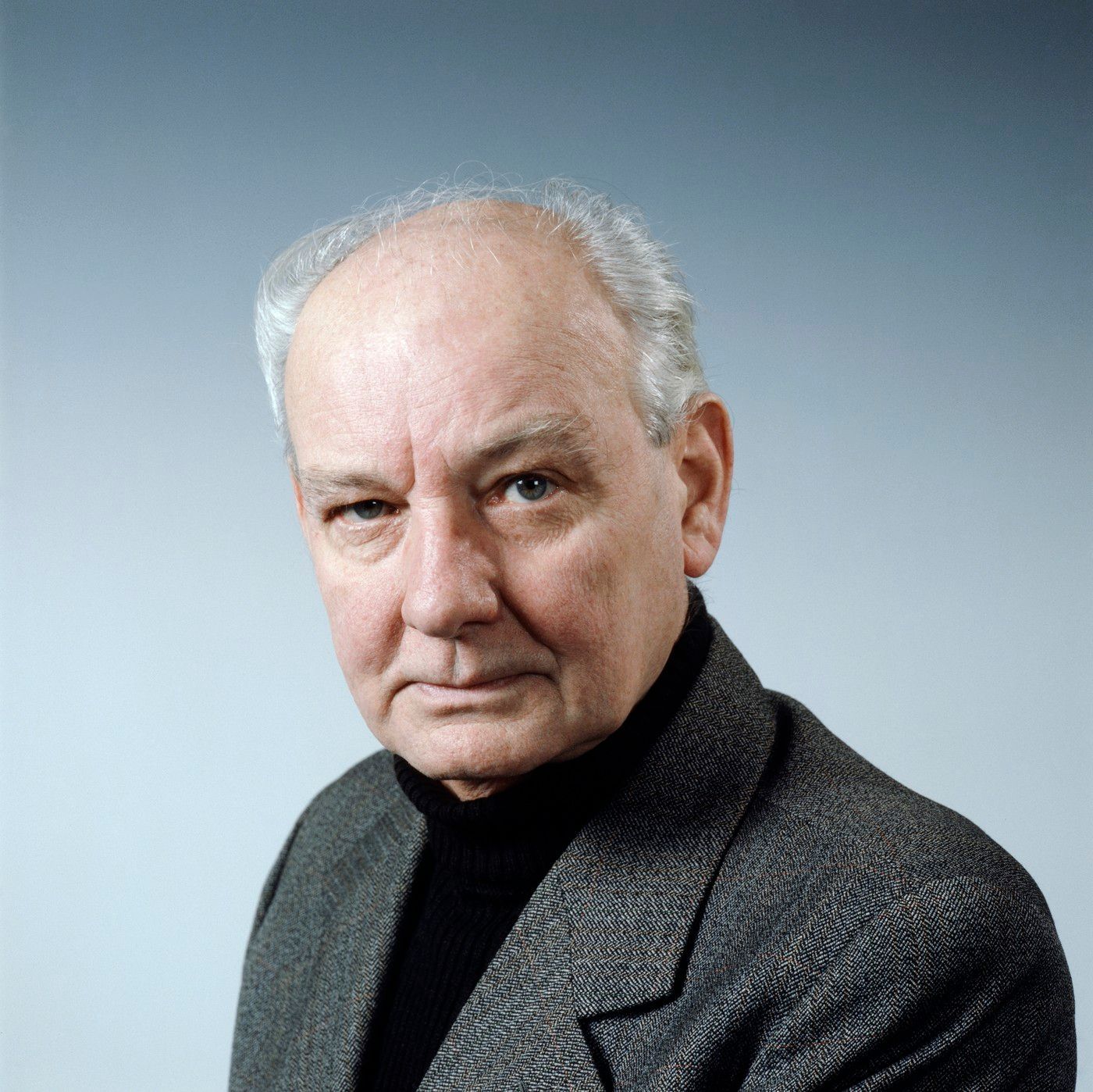vladimir raz