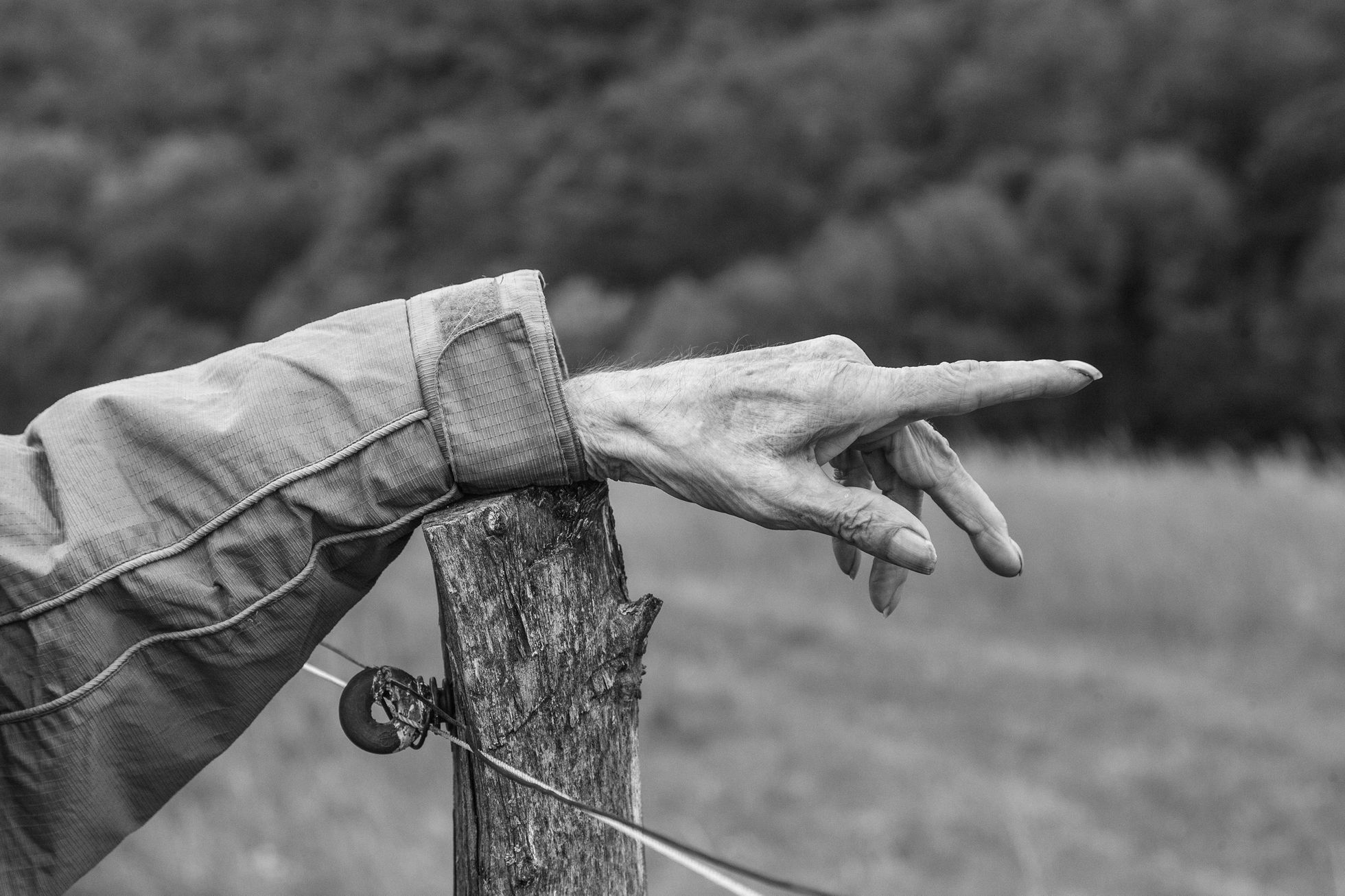 Aleš Palán, Samotáři 2