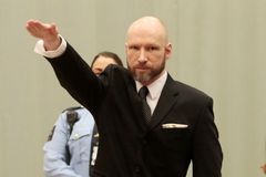 Bylo to krásný, ale bylo toho málo, velebil na Facebooku Breivikův čin obžalovaný muž