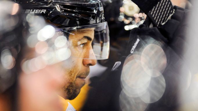 Boston Bruins (Jarome Iginla)