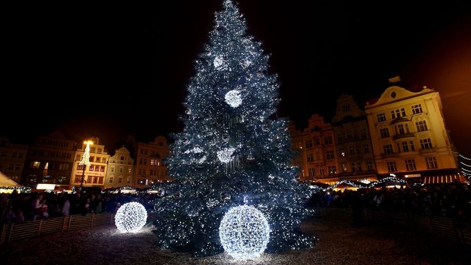 Vánoční strom v Plzni, ilustrační foto