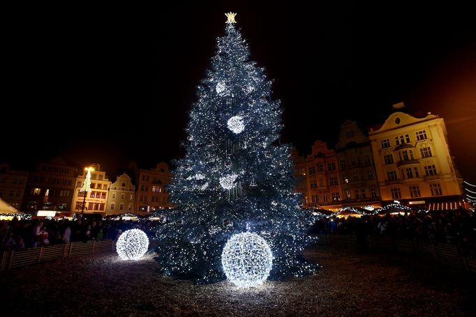 Plzeňský vánoční strom.