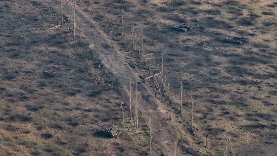 Zničená Silnice s pahýly stromů, "useknutých" bombardováním.  Kolem jsou patrné krátery po bombách.