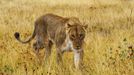 Jaroslav Hora, vítěz soutěže Travel Photographer of the Year: Namibie