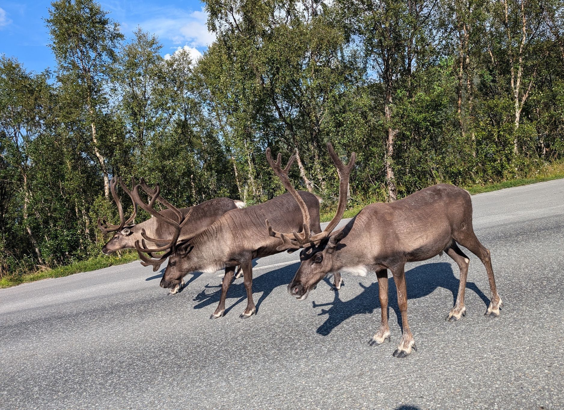 Z cyklocesty Michaela Macháčka