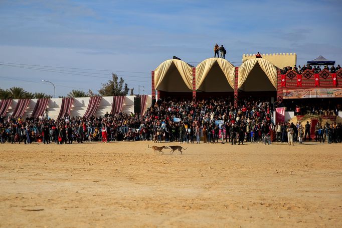 Lucie Steinzová: Sahara festival