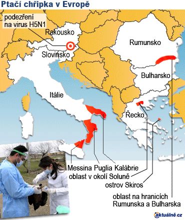 Podezření na ptačí chřipku na severu Slovinska a na jihu Rakouska | Foto: Jiří Kropáček / Martina Běhounková