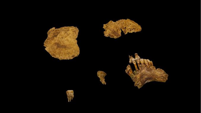 Vědci identifikovali ostatky abatyše Mlady