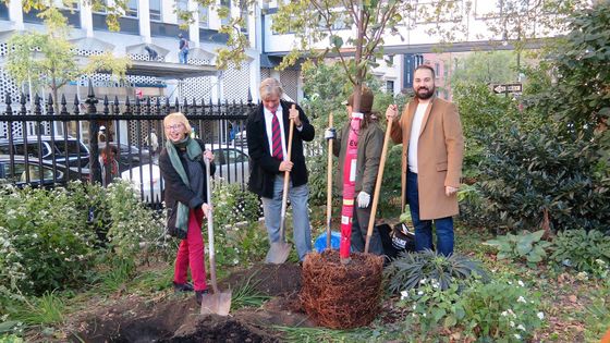 Foto: Na počest Československa. Češi vysadili tisíce stromů, od Tasmánie po New York